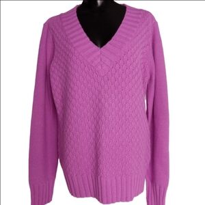 IZOD LONG SLEEVE PULLOVER SWEATER‎ LG. NWT IRIS ORCHID